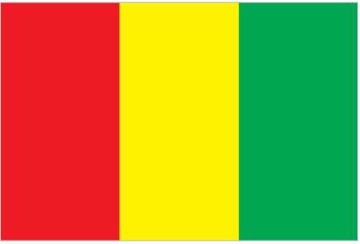 Bandera Guinea