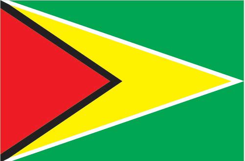 Bandera Guyana